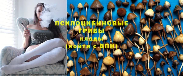 гидропоника Кодинск