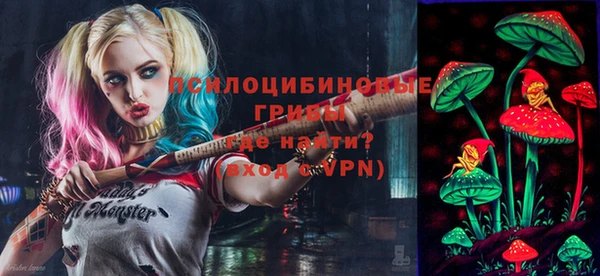 метадон Козельск