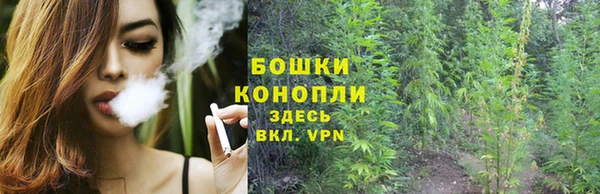 мяу мяу мука Корсаков
